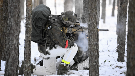 Het Arctische Front van Duitsland